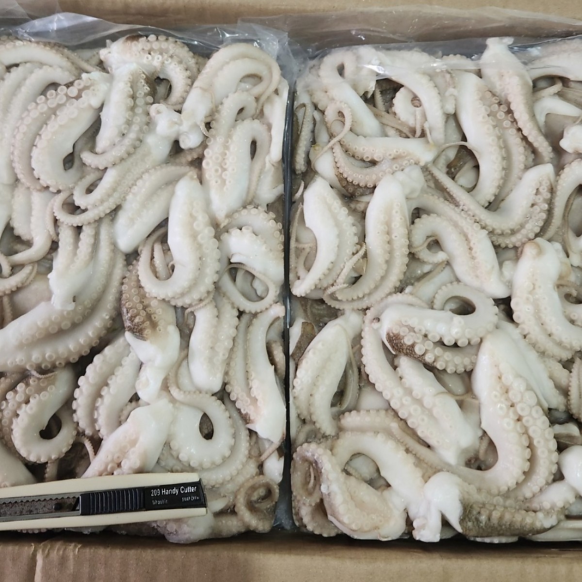 절단쭈꾸미